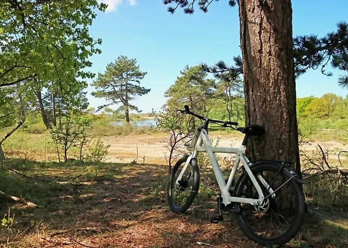 Zeebedstay